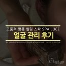 스파루체 이미지