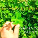 토당골대박삼겹살