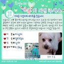 아이럽뽀