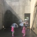체험왕