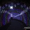 광명동굴 (코끼리차 주차장) 이미지