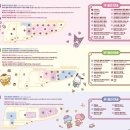 아일랜드메모리
