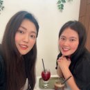 브리비트 이미지