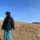 가고파세탁 이미지