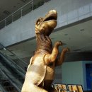 포항바다화석박물관 이미지