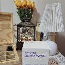 씨유 언양e편한점 | 월경전 그날 편한 보라지유 트루알엑스 PMS 영양제 추천