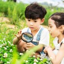 개미들농촌체험마을 이미지