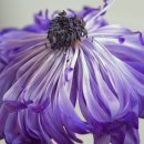 강찬 태권도 이미지