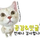 하남플러스 동물병원 이미지
