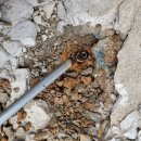 강진종합정비 | 진도누수탐지 강진보일러설치 수도설비 해남정화조공사 태양설비