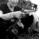 동춘당로 이미지