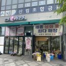 세종 다정동 다정꽃할인점 방문 후기 수국 색상이 토양에 따라 다르게 나타나는 이유
