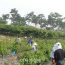 고수면사무소 이미지
