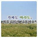 마라도협동조합 이미지