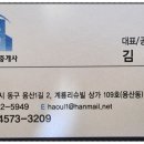 원황룡 이미지
