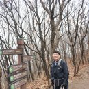 도마초등학교 이미지