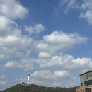 이태원 | 콜키지 프리 이베리코 돼지고기 맛집. 소설옥