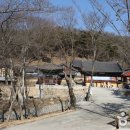 조해영농장 이미지