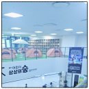 용인어린이체험 상상의숲 방문 후기 아이들과 함께 즐긴 신나는 하루