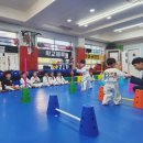 경향태권도 | 겨울에 성장판 자극이 더 중요한 과학적 이유 - 부천 중동 경희대 박사 현대 태권도