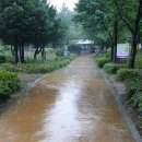 장안근린공원 이미지