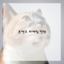 디지털 마케팅 성공전략 이미지