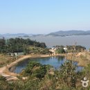 율도 Daum카페