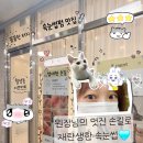 신월초등학교 | 대구 속눈썹 이프먼트에서 촉촉한 속눈썹펌으로 반짝반짝한 눈빛 자신감 장착한 후기🩵