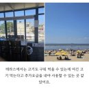 알로하스테이 이미지