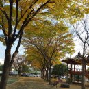 항호공원 이미지