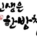 인생은한방차