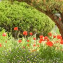 광시중학교 이미지