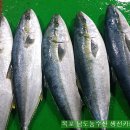 금당롯지 이미지