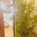 마음을 다스리는 클래식 이야기 | 광진구명상 프라이빗한 공간 클래식한 분위기 선한인연 선한명상 후기