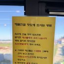 꽃게와낙지 | 진도 쏠비치 맛집 추천 | 꽃게선장 낙지박사 솔직 후기(픽업, 샌딩 서비서까지!)