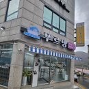 푸르댕 | *거제고양이미용 푸르댕캣살롱 재방문후기*