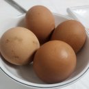 방림 | 방림 메밀막국수 솔직 후기