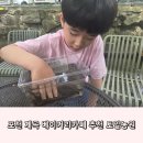포천 아이랑 가기좋은곳 미꾸라지잡기체험 토일농원 계곡카페