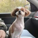 몽몽이 미용실 이미지