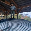 장생포고래로L 이미지