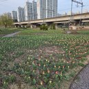 낙동강관리본부 화명생태공원 12 이미지