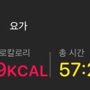 빈야사 & 전신 요가 이미지