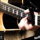 통기타(중급B) 이미지