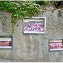 구암3.1로 이미지