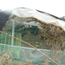 봉소2리 마을회관 이미지