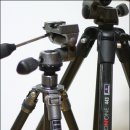G1198 이미지