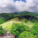 산양(산양보호구역) 이미지