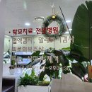 자이안피부과의원 이미지