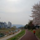 김지룡 태극권 이미지