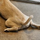 방배천로8-7 이미지